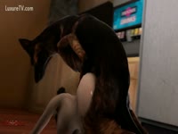 Black dog banging the pussy of a beastiality teen
